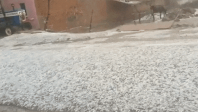 Photo of यूपी के 33 जिलों में बारिश-ओले का अलर्ट