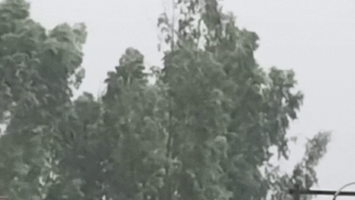 Photo of यूपी के 27 जिलों में बारिश का अलर्ट