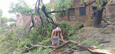 Photo of सैकड़ों पेड़ गिरे, 1100 गांवों में बिजली गुल,  बिपरजॉय ने मचाई कैसी तबाही?