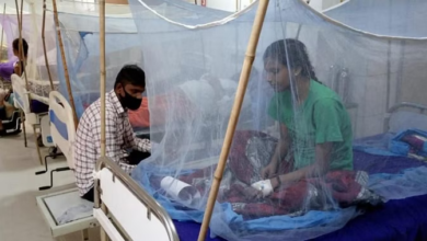 Photo of यूपी में गहराया डेंगू संकट,लखनऊ में सबसे ज्यादा मामले