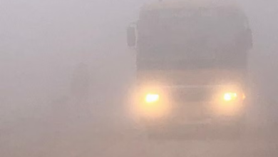 Photo of कड़ाके की ठंड से कांपा प्रदेश,  घने कोहरे की चेतावनी