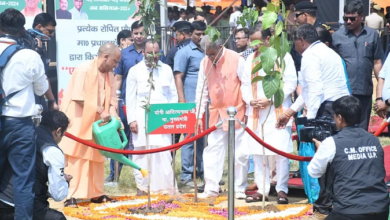 Photo of मुख्यमंत्री योगी ने शुरू किया पौधरोपण जन अभियान